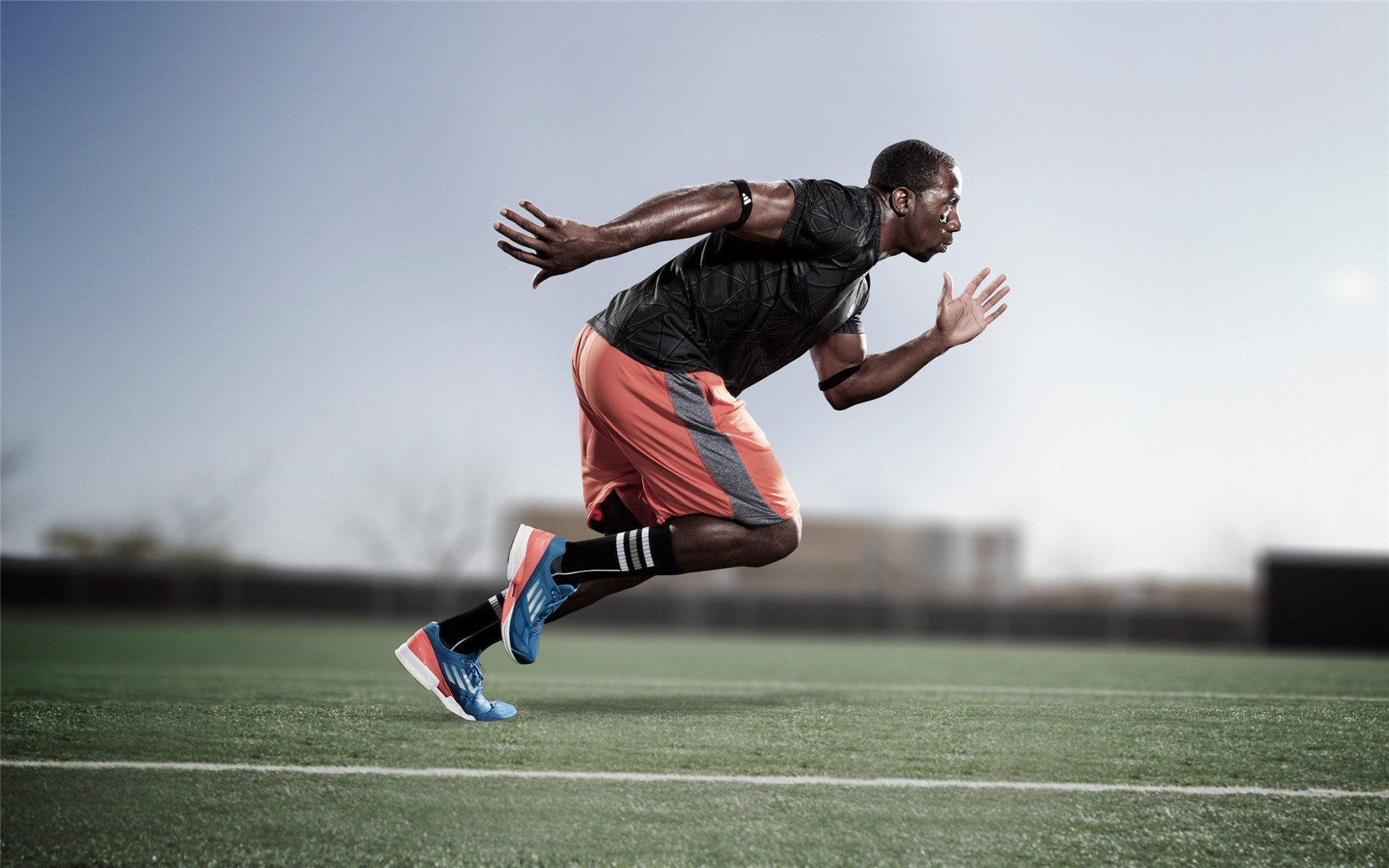 福克斯奥运前哨战接管关键局，广厦强压黄蜂展冠军相